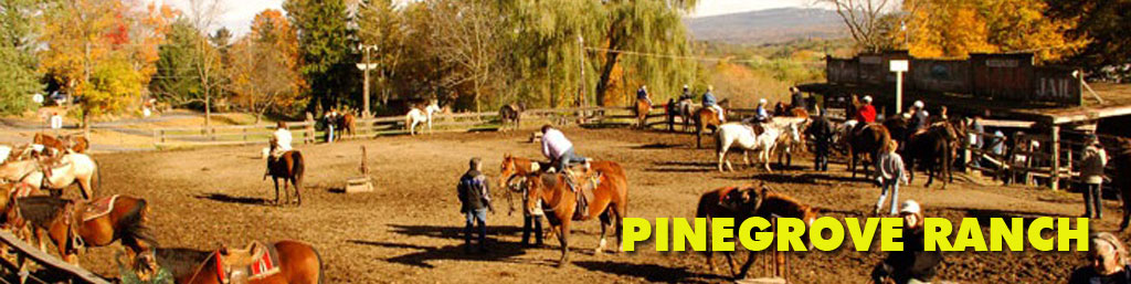 Pinegrove Ranch Logo
