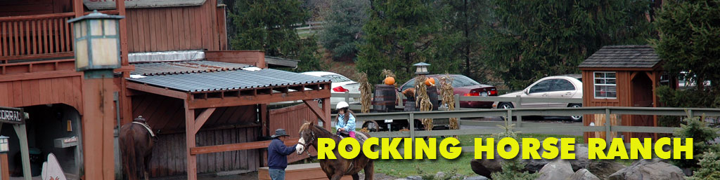 rocking horse ranch